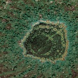 Glaze Effects - 15 of 25