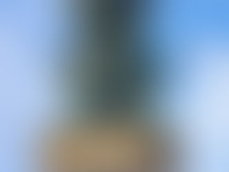 IGLECASA 28-JULIO-2020