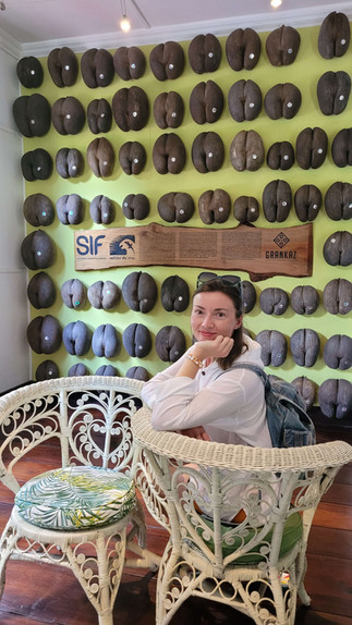 Картинная галерея Kenwyn House  в Виктории, Маэ, Сейшельские острова. Блог о путешествиях "Сезон Чудес"