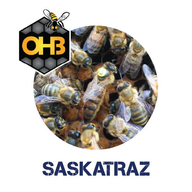 OHB Saskatraz logo