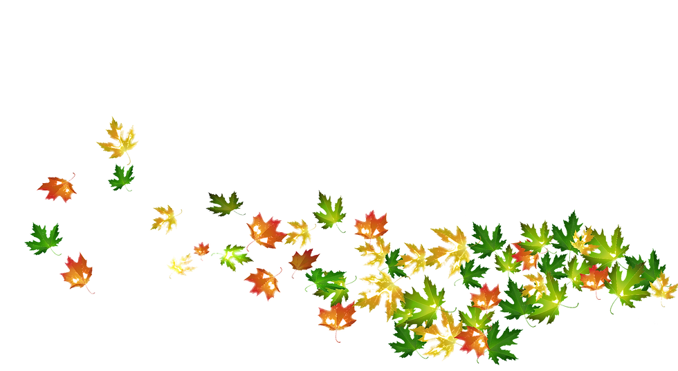 leaf cab_edited_edited_edited.png