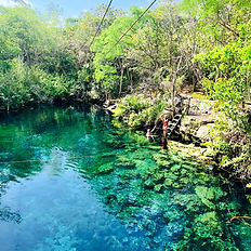 Cenote rodeado de selva
