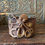 Thumbnail: Leather Cuff Octopus