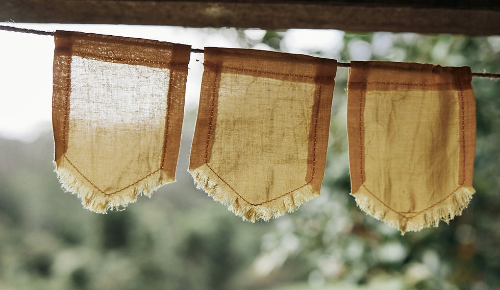 Thumbnail: Pony Rider Mini Flag Bunting Natural 