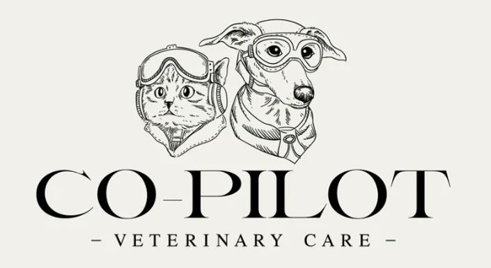 cat dog veterinary medicine euthanasia pet urgent care