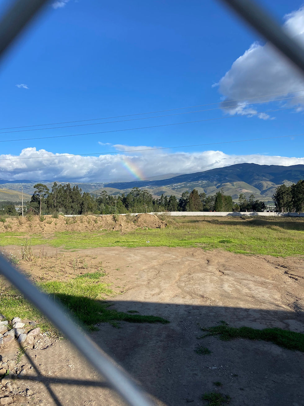 Variaciones sobre el hogar