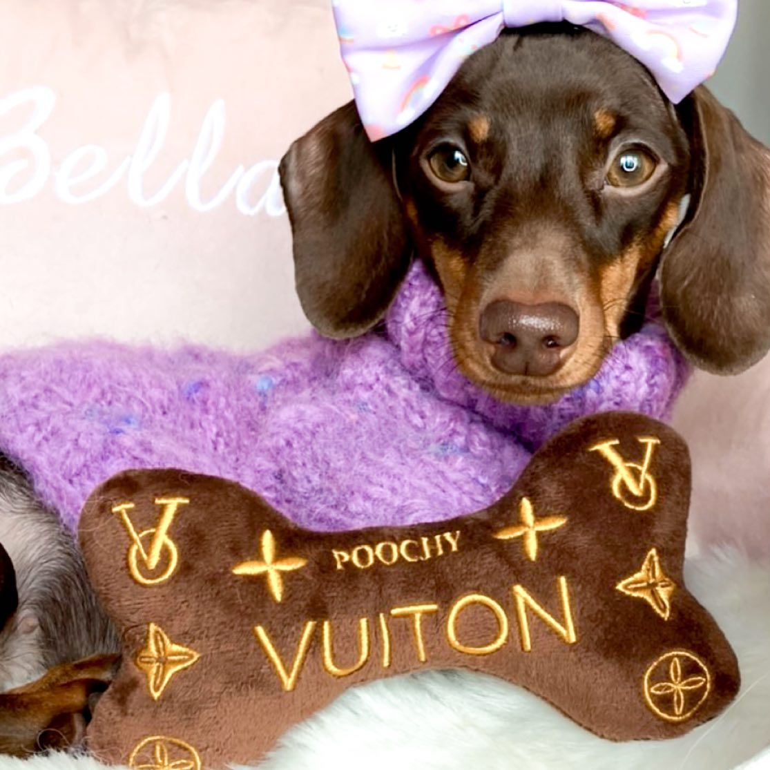 Designer Parody plush dog toy being played with. Dog gifts.