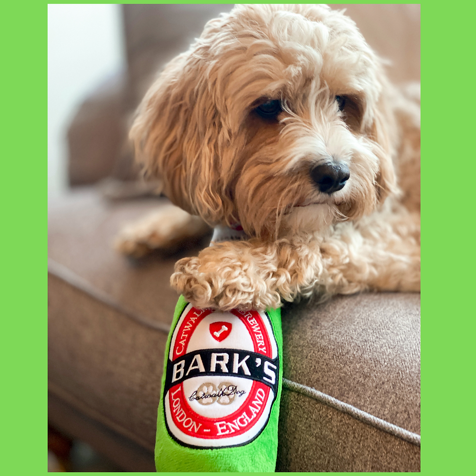 Thumbnail: Dog playing with a Barks plush dog toy - funny dog gift.