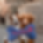 Ralph Pawren Plush dog toys - ideal novelty dog gifts.