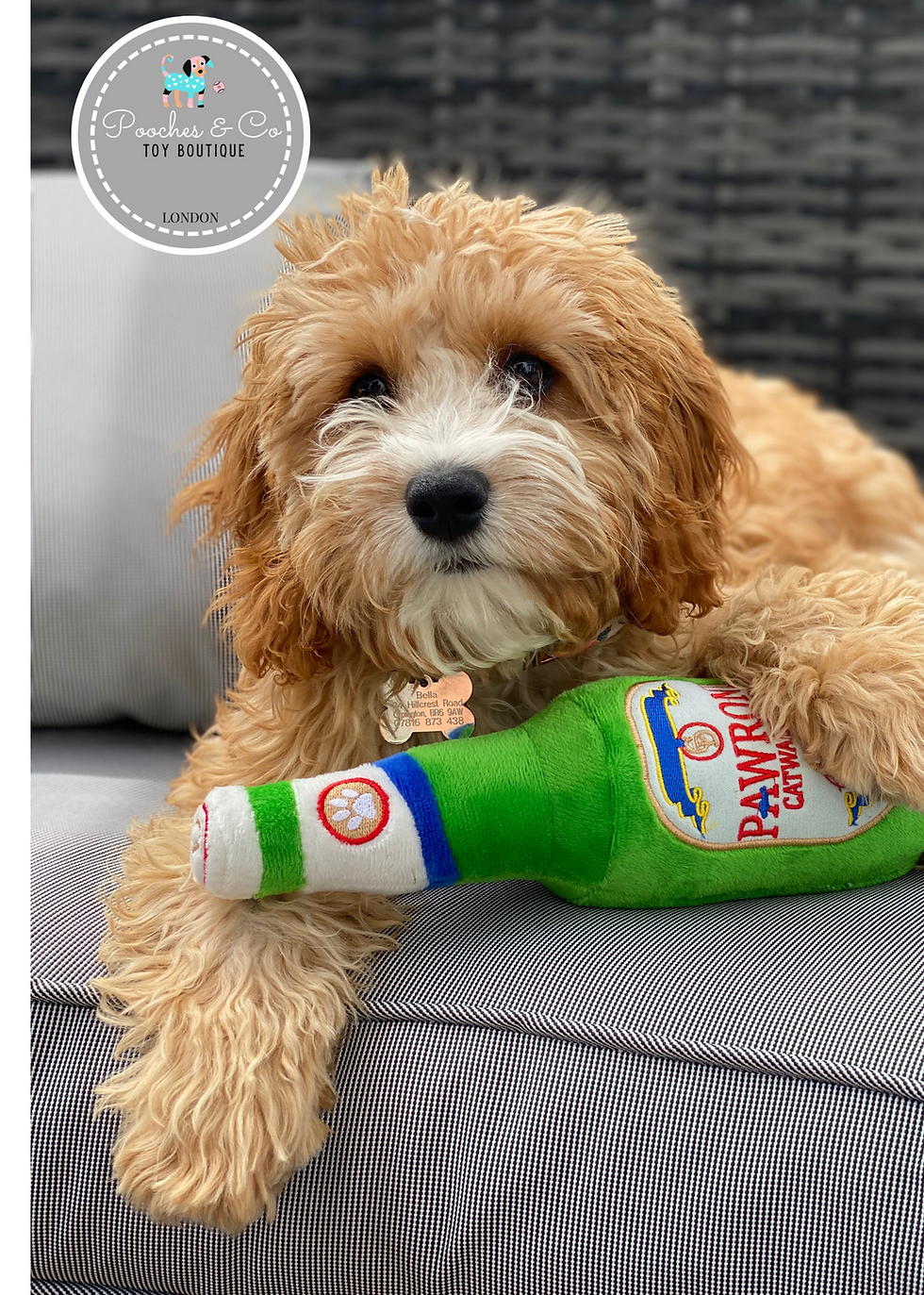 Thumbnail: Dog with their pawoni funny beer toy. Plush dog gift