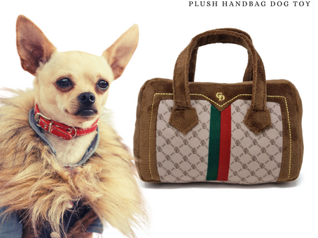 Can Dogs Be Too Spoilt? Finding the Right Balance for a Happy Pooch