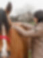 F6DE188C-5A80-4ED0-9D03-69A2C164727C.jpeg