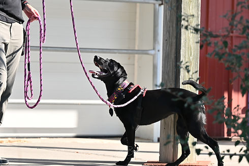 100689177-LBI_3721.JPG