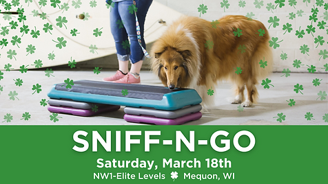 SNIFF-N-GO.png