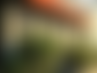 Viminal Media has officially moved to Downtown Santa Barbara!