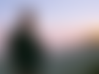 How Natural Light Influences Photography in Coastal Cities