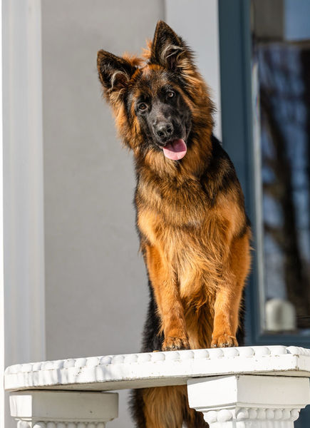 WhatsApp Image 2025-03-30 at 17.43.50.jpeg