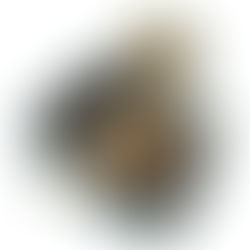 Poe 2 Currency – Just Enhance Your Knowledge Now!