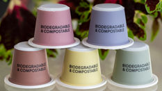Sustainability: Green Glossary