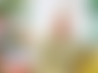 Planning for a Successful Christmas