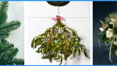 Seasonal Foliage - Christmas Greens