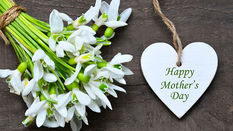 Marketing Made Easy: Printed Marketing Materials for Florists