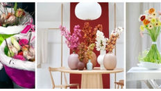 Valentine’s Day: It Doesn’t Have to be Red Roses…