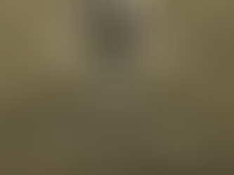 After the Sky Fell: What Have We Learned from the Ashes of Japan