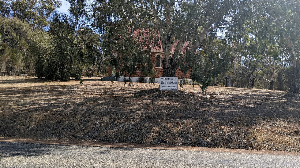 PXL_20230313_062821486.jpg