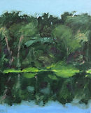 Forest Across the Pond (Gala Submission