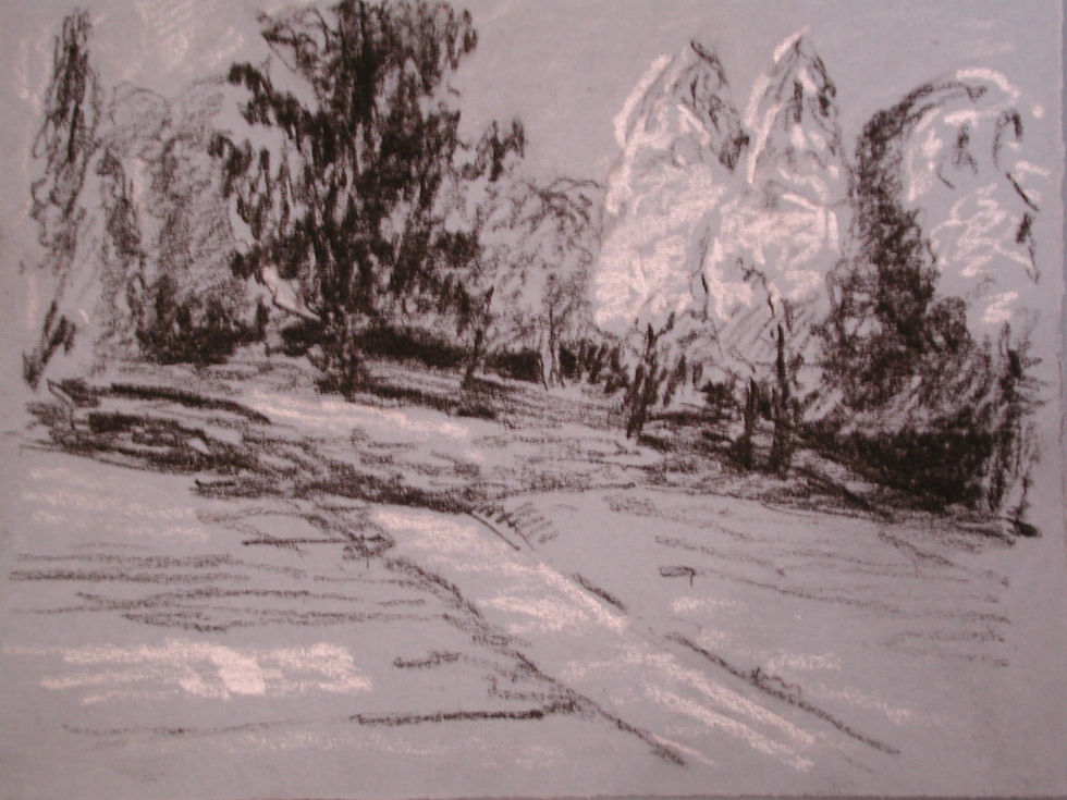 Landscape 2.JPG