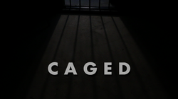 Caged 1