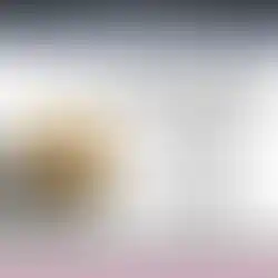 Procreate dual-tone button brushes for fashion illustration – FUPstudio