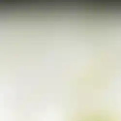 Customer feedback and reviews for FUPstudio’s editable T-Shirt Mockups vector bundle