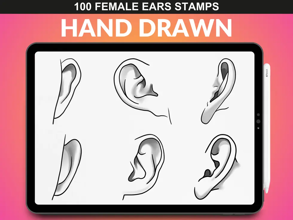 FUPstudio high-quality Procreate ear stamp brushes with shading and contour details for realistic sketches.