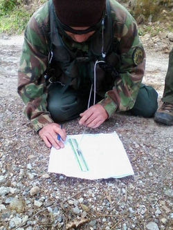 10173741_698962870155967_675604812_n (FILEminimizer).jpg