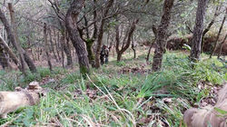 1509829_837205419665044_8740544564530285256_n (FILEminimizer).jpg