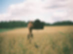 Camera in a field of grain.