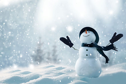 What-Makes-a-Snowman-a-Man-Mila-Madison-