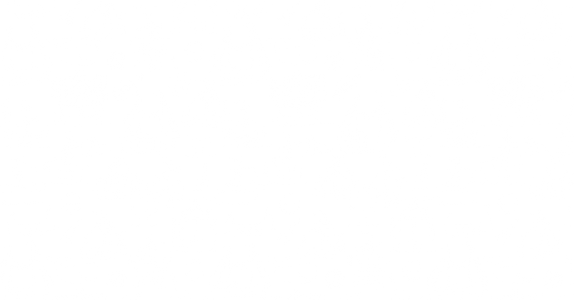 Ships-White-bkground-20%.png