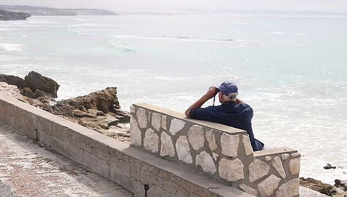 3.6 - arniston.jpg