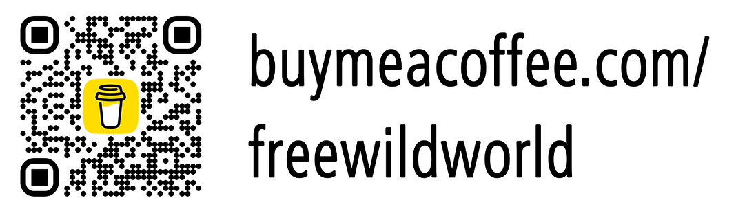 fww - support - buy me a coffee.png