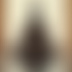 Daily Routines to Support Your Mental Health