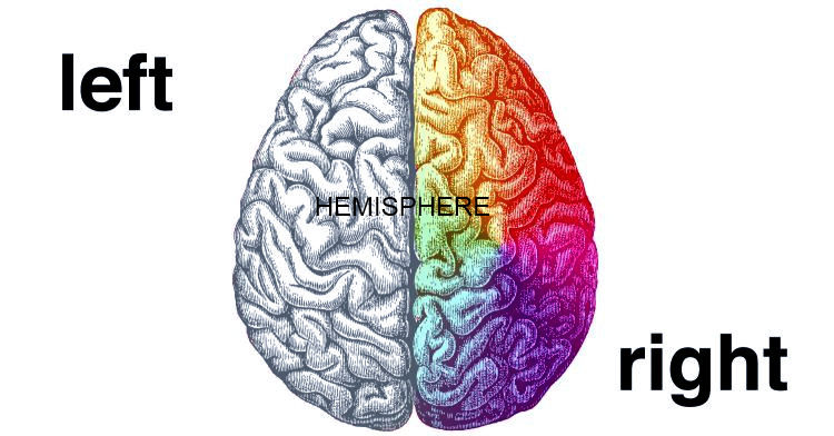 Full Brain Integration: Mind-Body Science