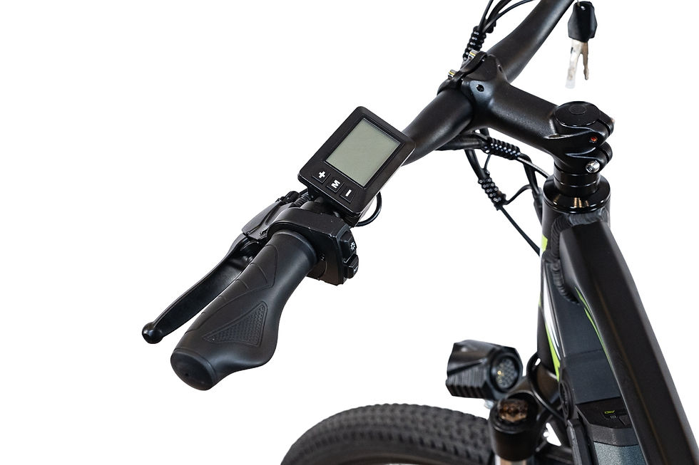 Miniatura: E - Bike M4