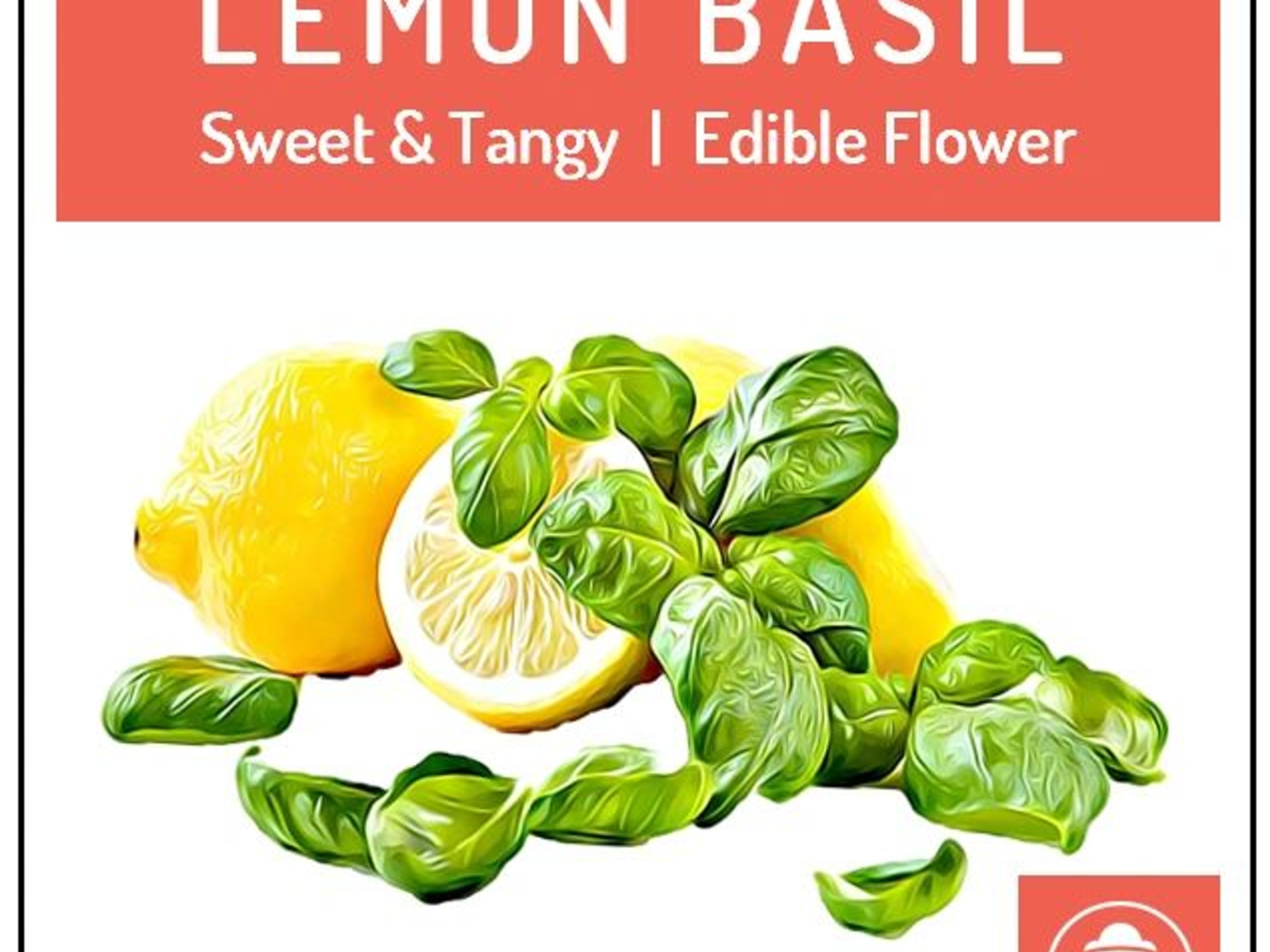 Semillas de albahaca limón