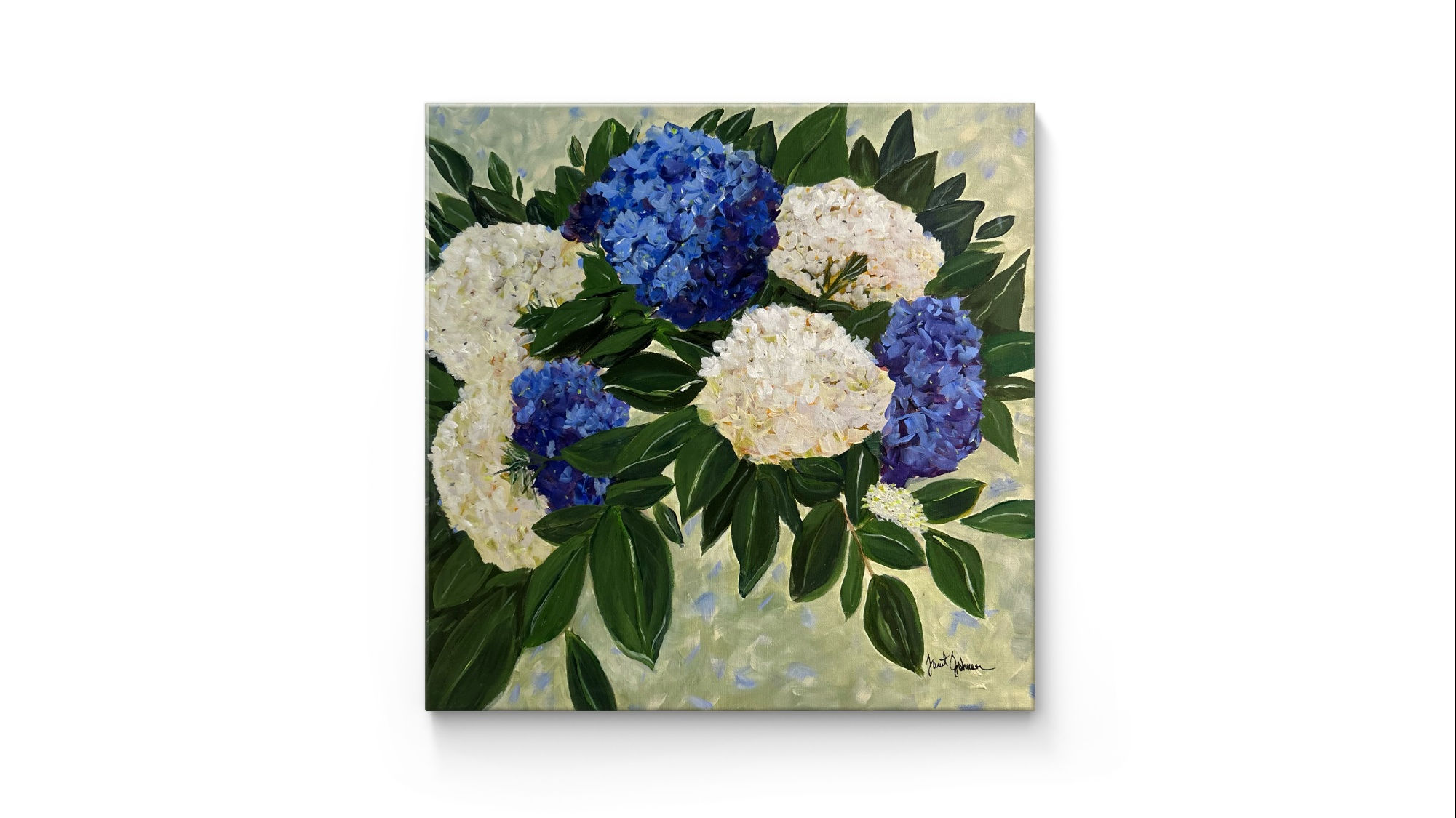 Hydrangea Harmony