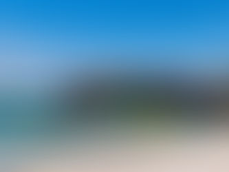 Discovering Dog-Friendly Beaches on the Island of Pag, Croatia