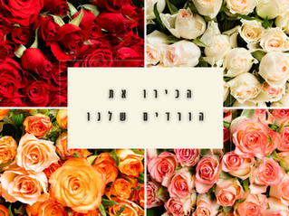  יותר מסתם זר: המדריך לשילוב פרחים ומשמעותם - חלק ב'