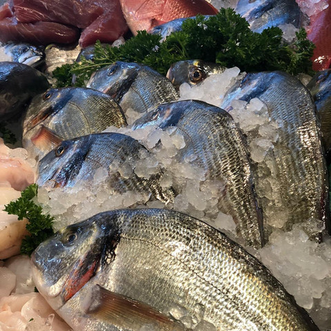 Fin & flounder clearance